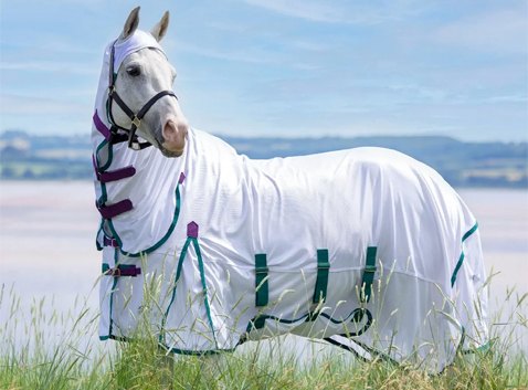 Horse Fly Rugs and Fly Masks