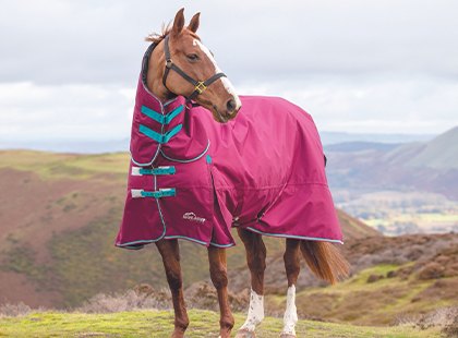 Winter Turnout Horse Rugs