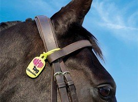 Fly Repellents/Sweet Itch