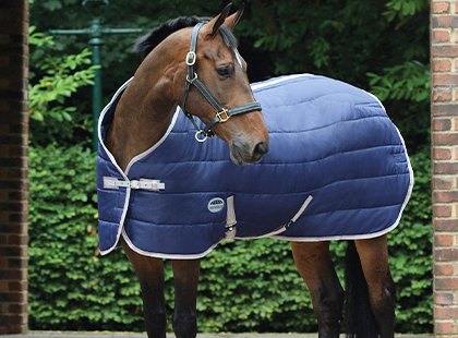 Summer Stable Horse Rugs