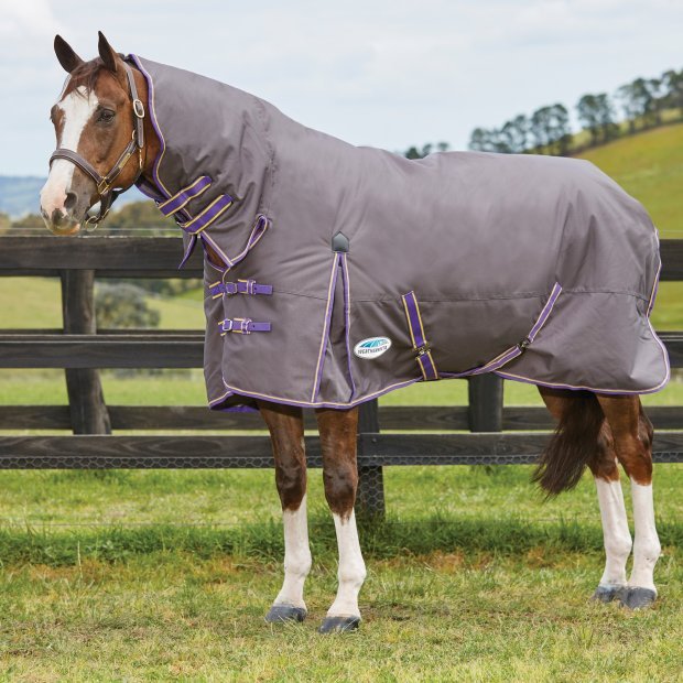 WeatherBeeta ComFiTec Essentials... Rugs for the winter at a great price! 