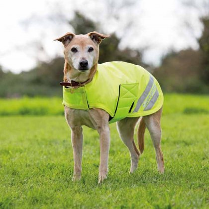 Shires EQUI-FLECTOR Waterproof Dog Coat