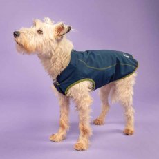 Shires Digby & Fox Softshell Dog Coat