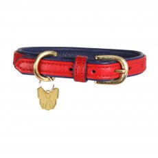 Shires Digby & Fox Leather Padded Dog Collar