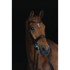 Collegiate Mono Crown Padded Raised Weymouth Bridle