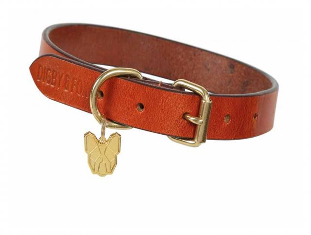 Digby & Fox  Shires Digby & Fox Flat Leather Dog Collar
