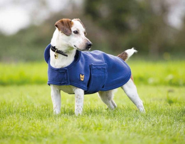 Digby & Fox  Shires Digby & Fox Dog Towel Coat