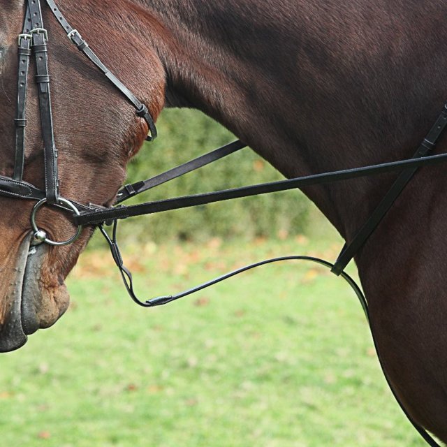 Townfields Saddlers Products Townfields Elastic Standing Martingale