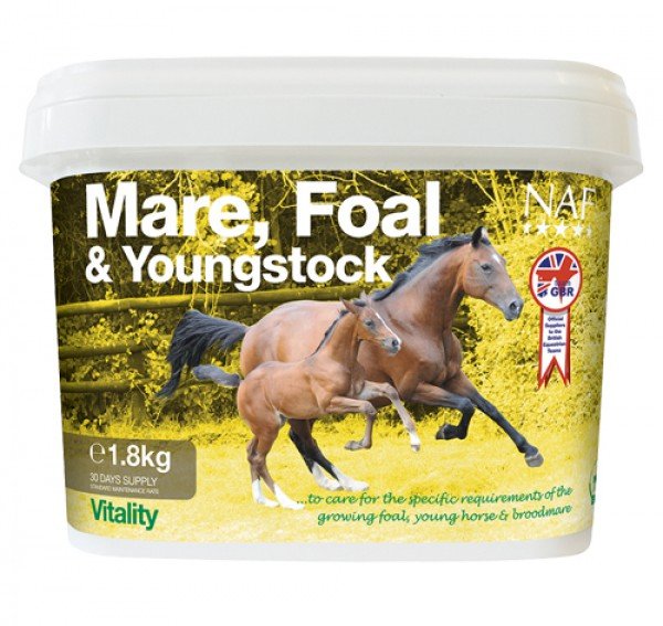 NAF NAF Mare  Foal and Youngstock