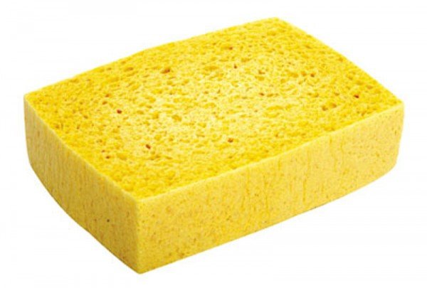 Sponge Lincoln Best Quality