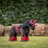 LeMieux Lemieux Toy Pony Saddle Pad Chilli Red