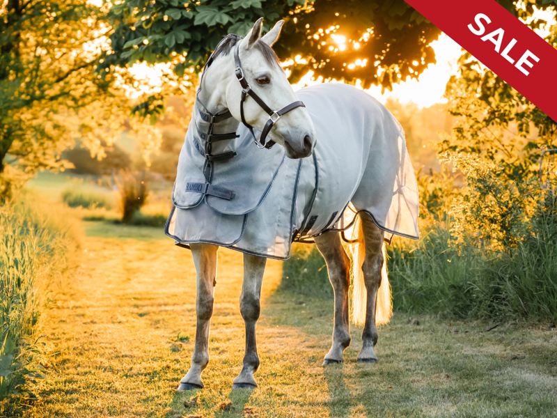 Fly Protection Offers