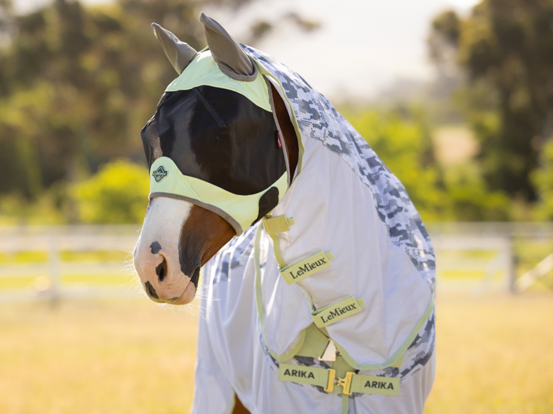 Fly Protection