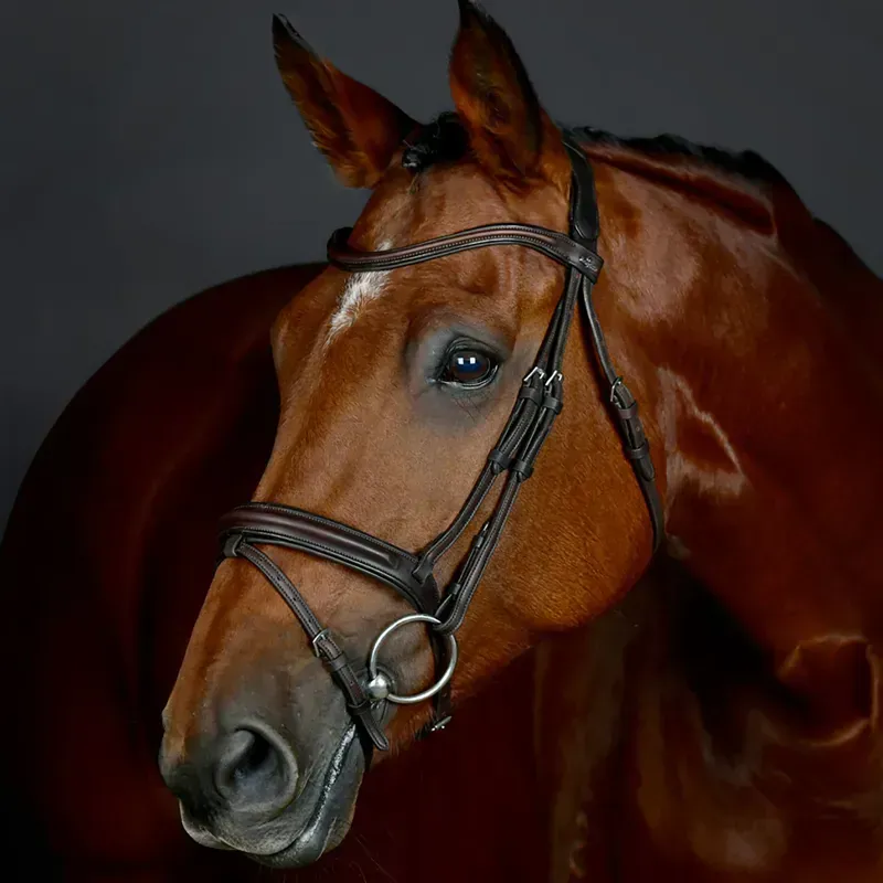 Collegiate ComFiTec Opulux Plain Padded Hanoverian Flash Bridle in Dark Brown