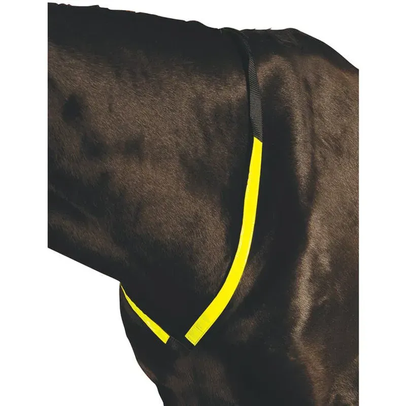 Roma One Size Reflective Breastplate in Yellow