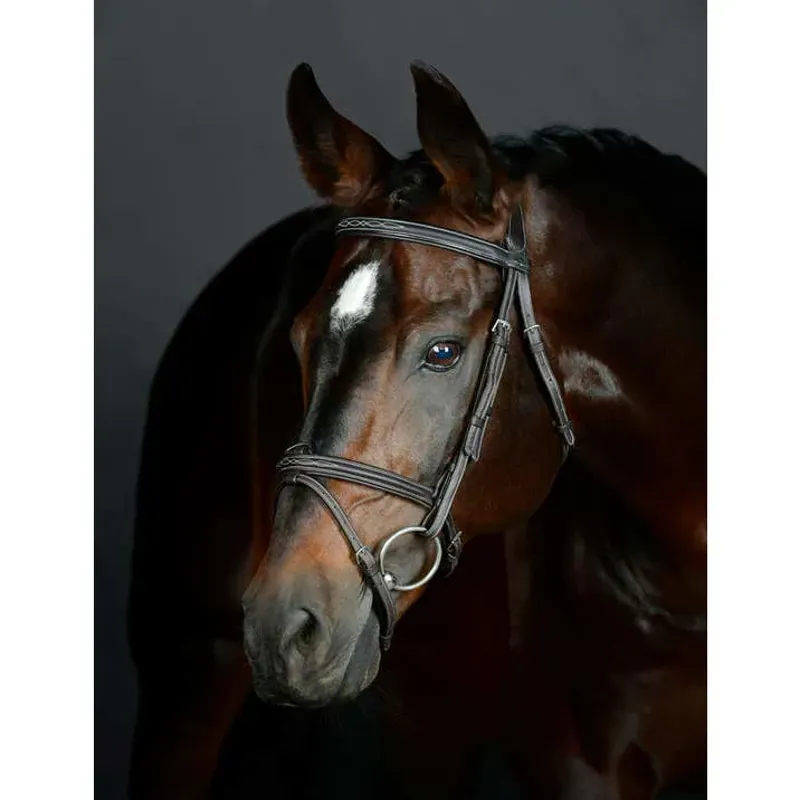 Collegiate ComFiTec Opulux Fancy Stitch Padded Hanoverian Bridle in Dark Brown