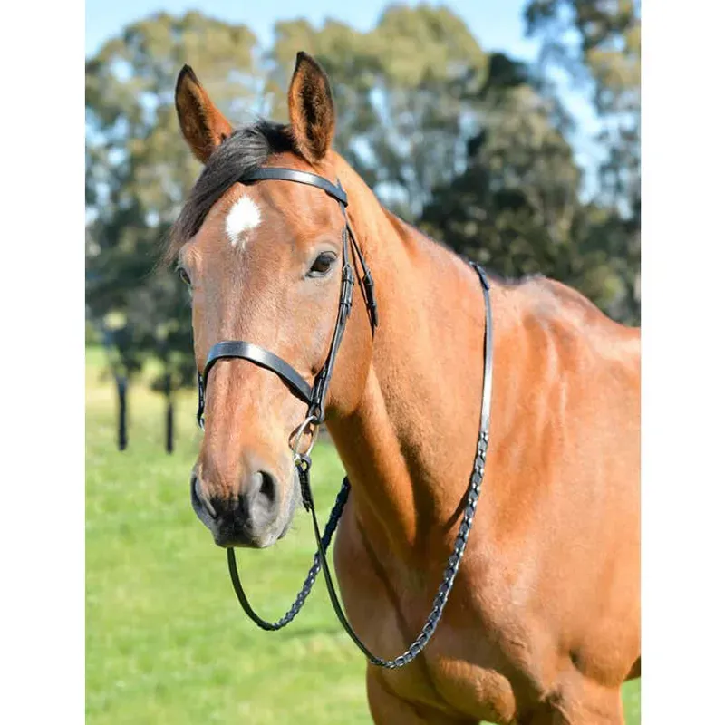 Kincade Classic Flat Hunt Bridle With Reins in Black