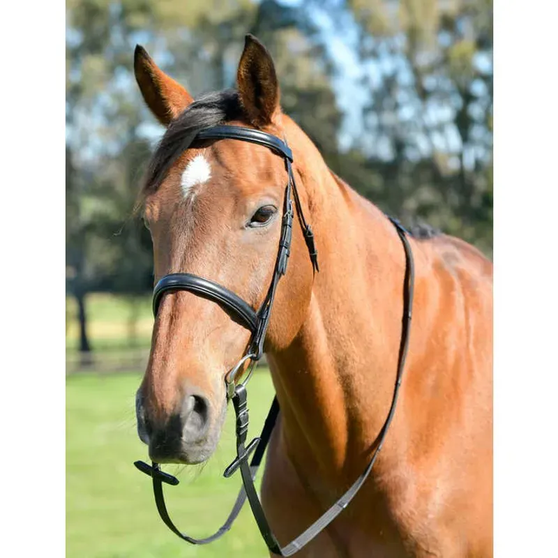 Kincade Classic Plain Raised Cavesson Bridle With Reins in Black