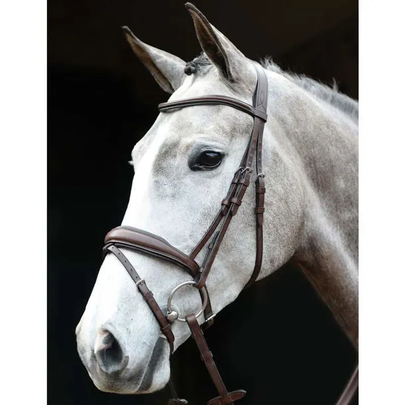 Collegiate Mono Crown Padded Raised Flash Bridle in Brown