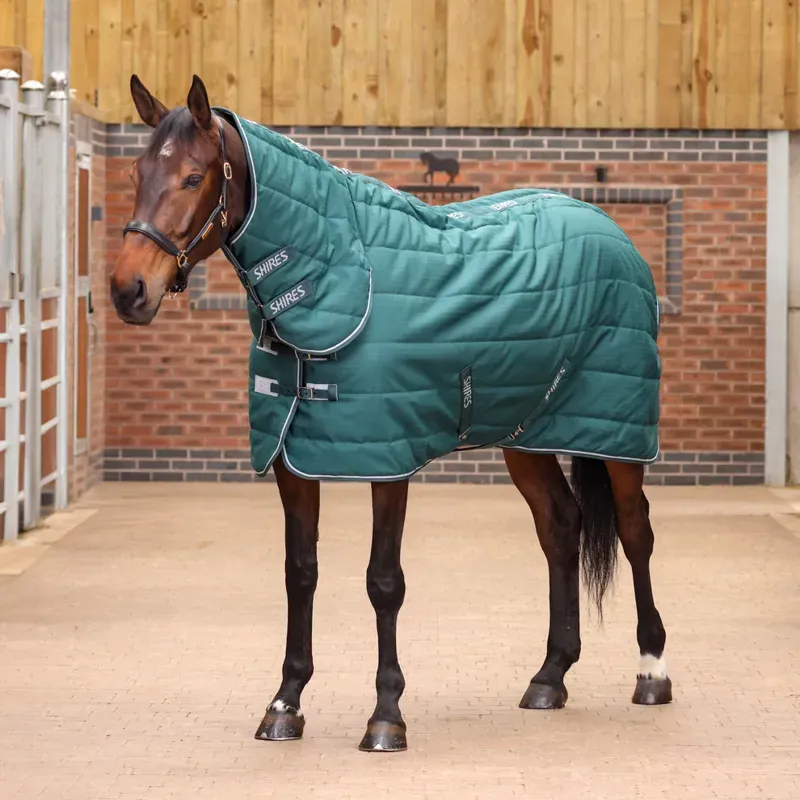 Winter Stable Rugs