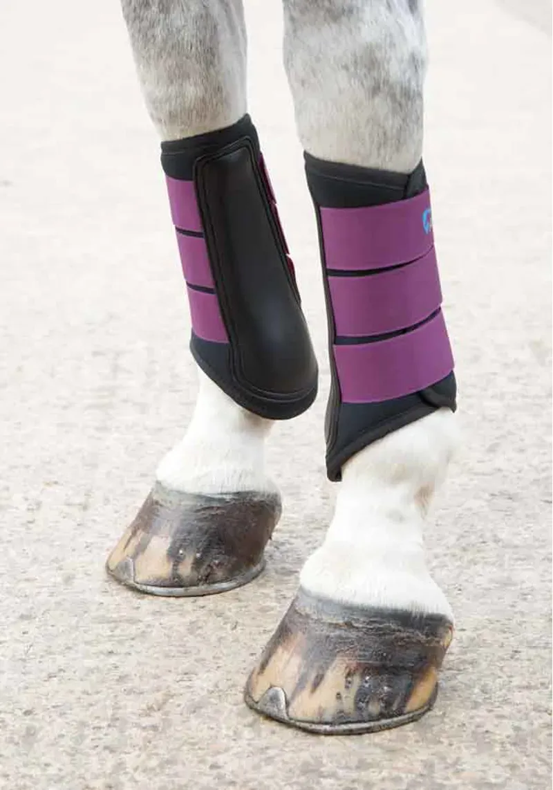 NI Shires Arma Neoprene Brushing Boots In Plum