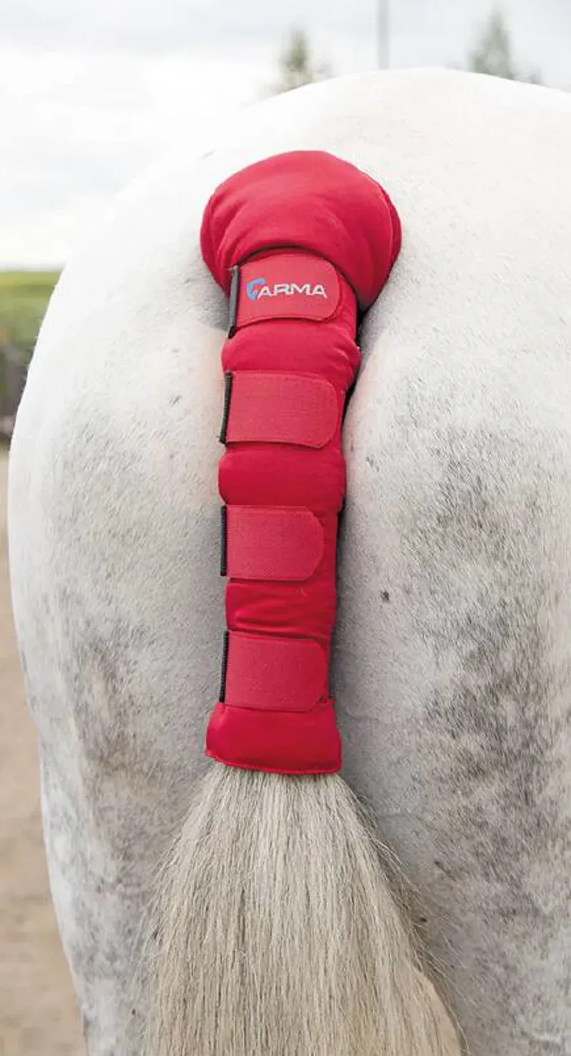 ARMA Padded Tail Guard In Red-1