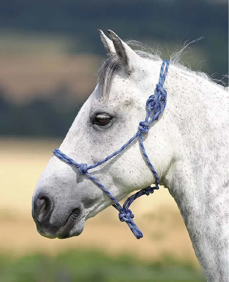 ARMA Rope Control Headcollar In Blue