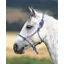 ARMA Rope Control Headcollar In Blue