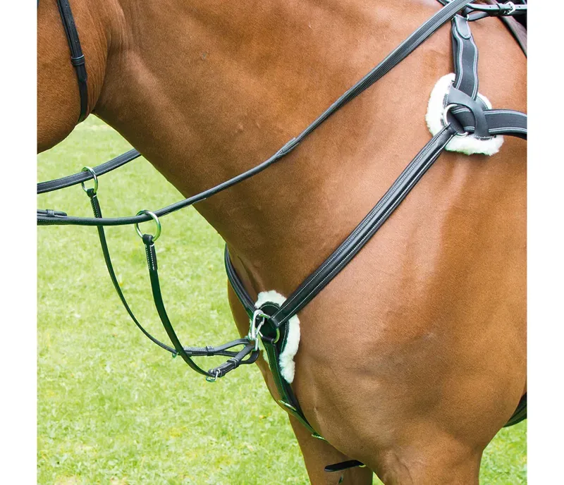 Avignon 5 Point Breastplate in Black