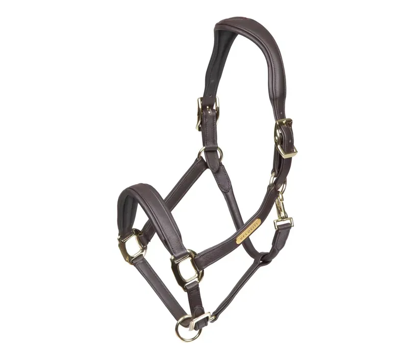 Velociti Rapida Comfort Leather Headcollar HAVANA