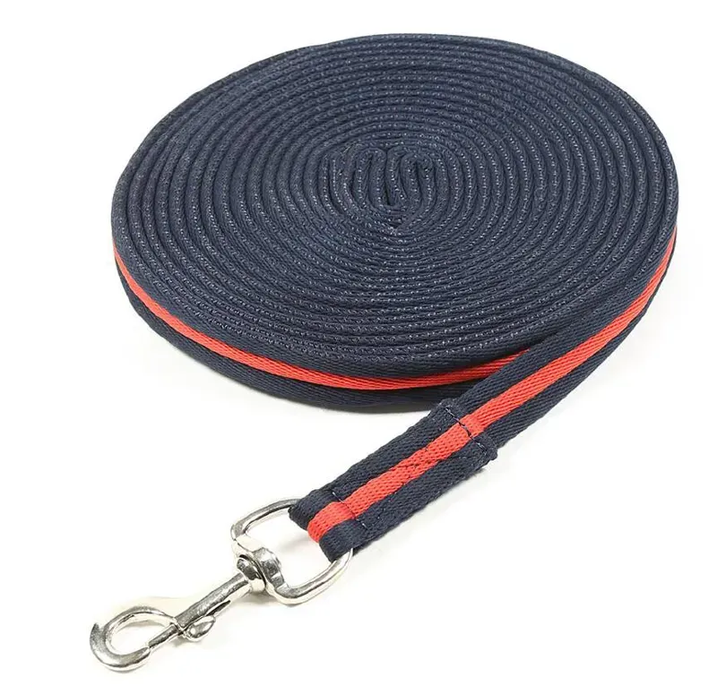 ARMA  Cushion Web Lunge Line 8m/26 In Blue