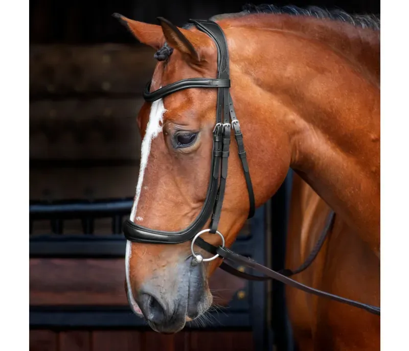 Velociti Rapida Ergononic Cavesson Bridle in Black