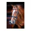 Velociti Rapida Dressage Bridle With Flash in Black