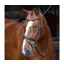 Velociti Rapida Dressage Bridle With Flash in Havana