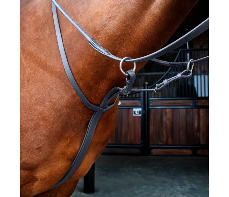 Velociti Rapida Running Martingale in Black