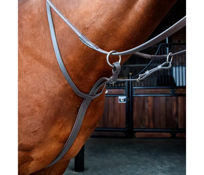 Velociti Rapida Running Martingale in Havana