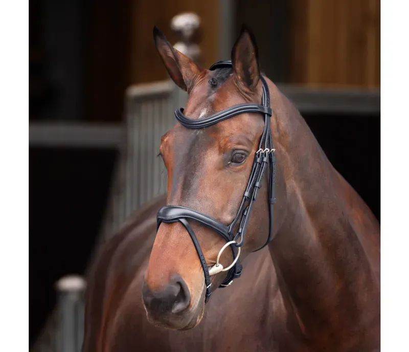 Velociti Lusso Elite Flash Bridle in Black
