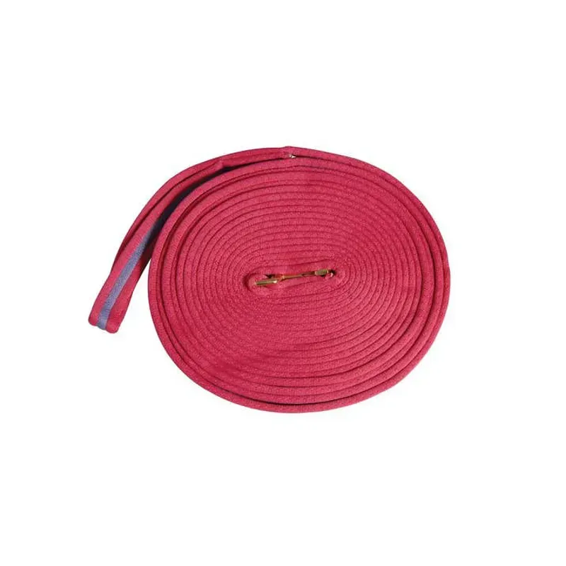Kincade 8m Two Tone Padded Lunging Rein in Hot Pink/Purple