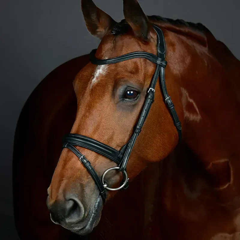 Collegiate ComFiTec Opulux Plain Padded Hanoverian Flash Bridle in Black