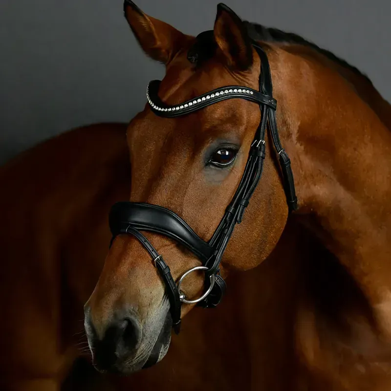 Collegiate ComFiTec Opulux Padded Dressage Bridle in Black