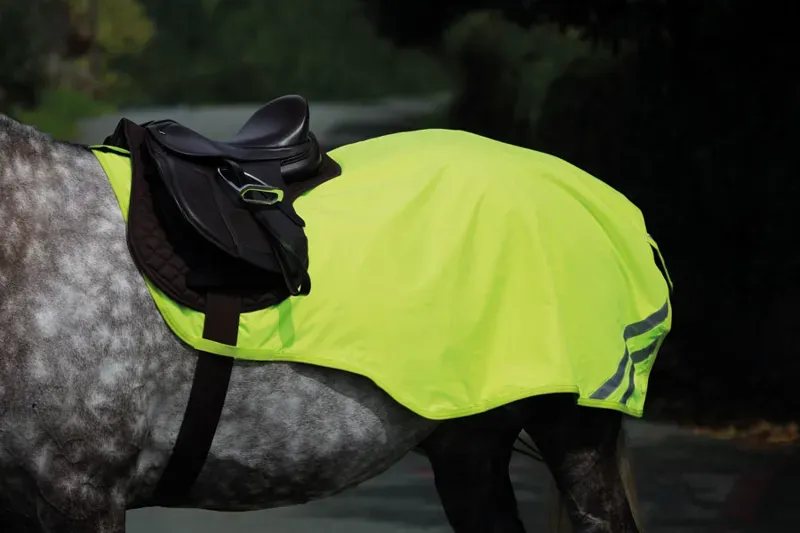 Equi-Flector Mesh Exercise Sheet in Yellow