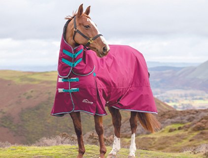 Winter Turnout Rugs