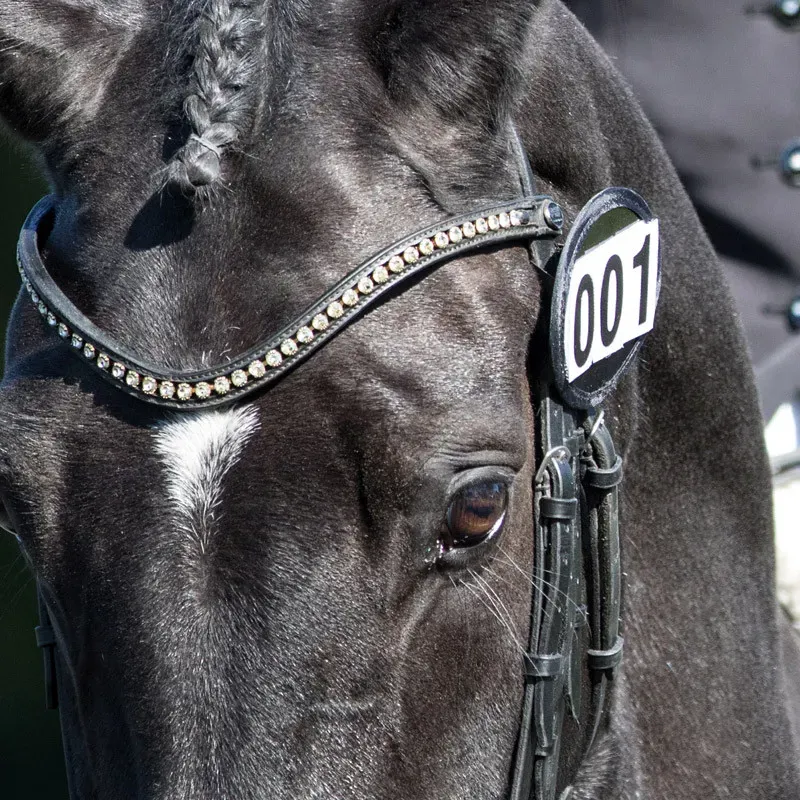 Bridle Number Holder - Patent - Pair Black pair (2)