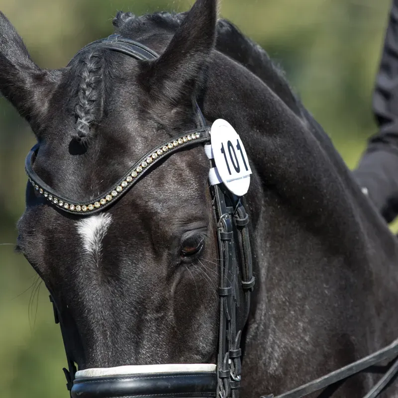 Bridle Number Holder - Patent - Pair Black pair (2)-1