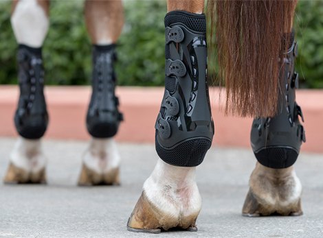 Tendon and Fetlock Boots