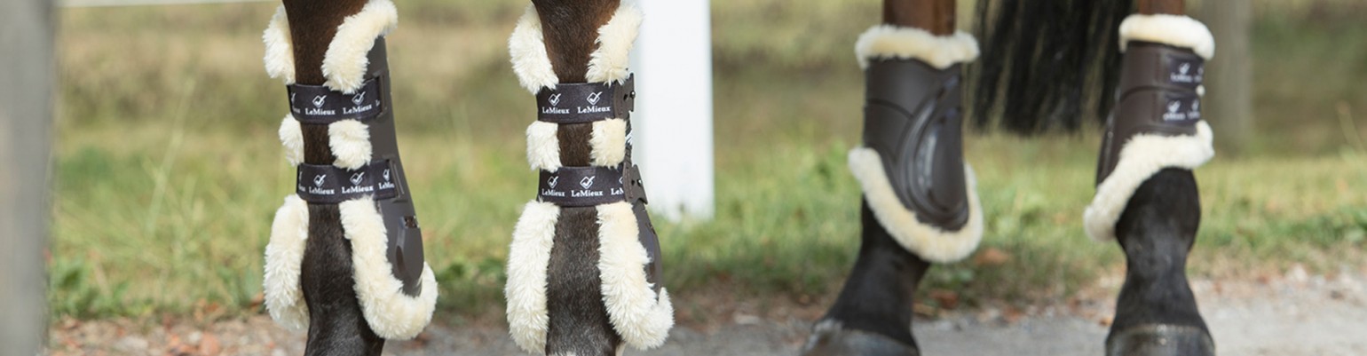 Tendon and Fetlock Boots