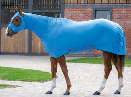 Anti Rub Horse Vests, Bibs and Rug Accessories