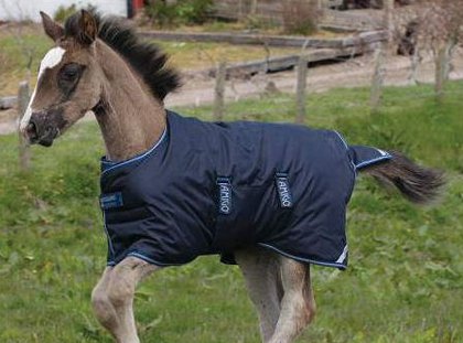 Foal Rugs