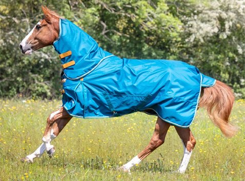 Summer Turnout Horse Rugs