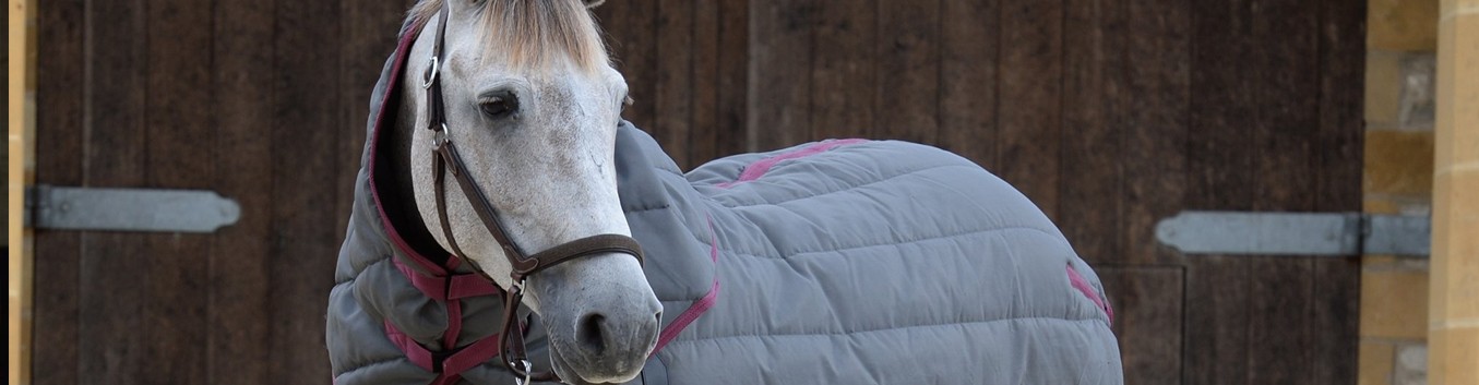 Winter Stable Horse Rugs